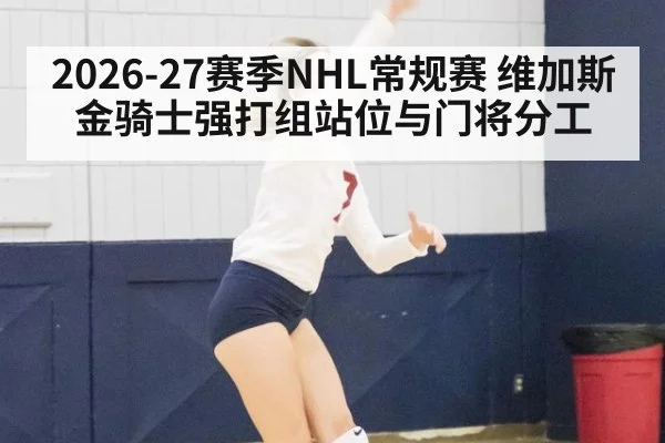 2026-27赛季NHL常规赛 维加斯金骑士强打组站位与门将分工